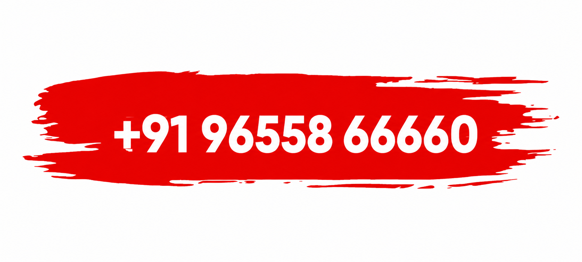 +91 96558 66660