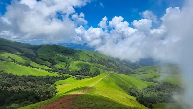 Chikmagalur Coffee Hills