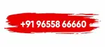 +91 96558 66660